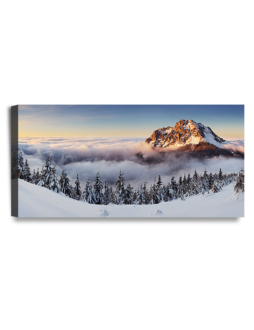 Rozsutec Mountains. Winter Snowy Mountain, Pine Tree in Snow.