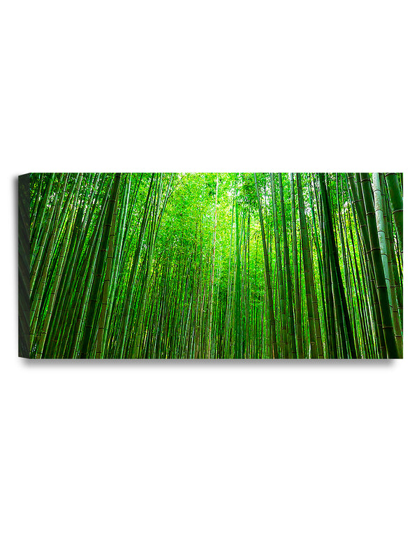 Arashiyama, Bamboo Forest in Japan.