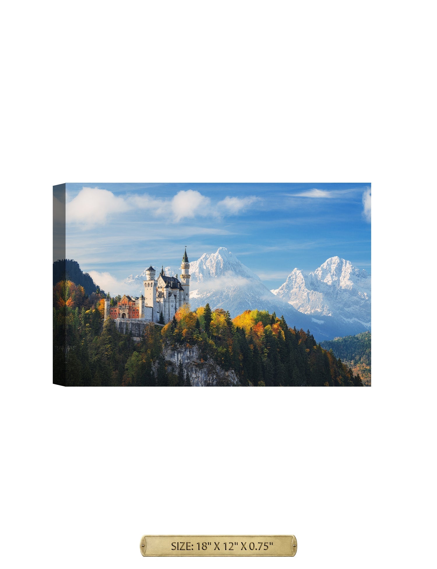 The Neuschwanstein Castle.