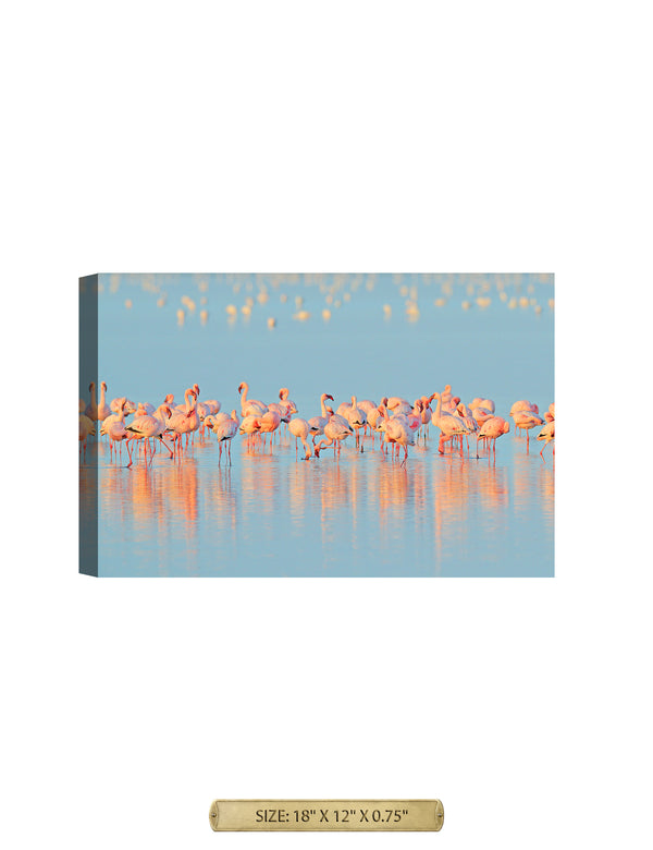 Flamingos Fishing Wild Animal Wall Art.