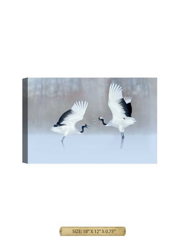 Crane Dance Wild Animal Wall Art. Archival Giclee Print on your choice of Canvas or Paper. Wide Selection of Frames. Rolled or Ready to Hang.