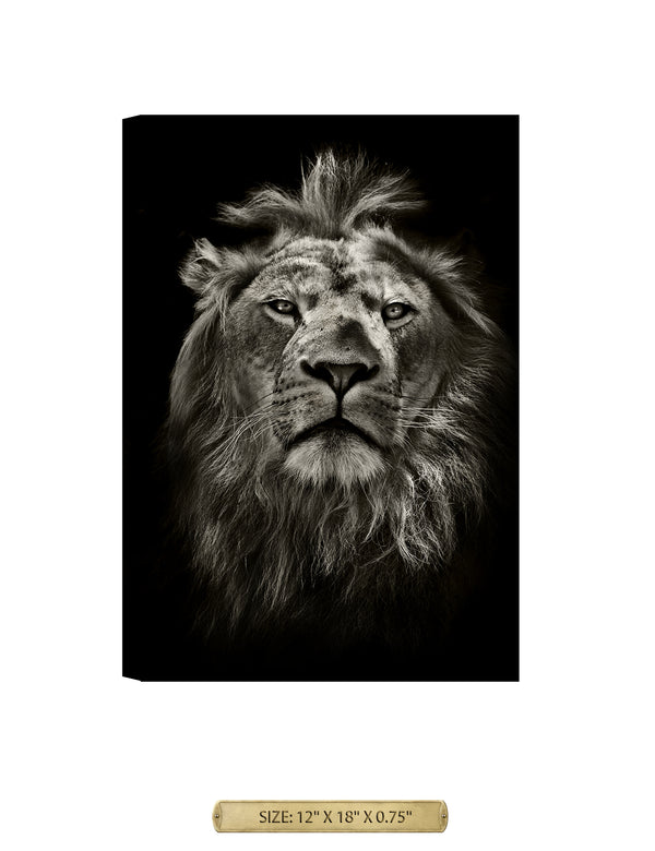 The King Wild Animal Wall Art. Archival Giclee Print on your choice of Canvas or Paper. Wide Selection of Frames. Rolled or Ready to Hang.