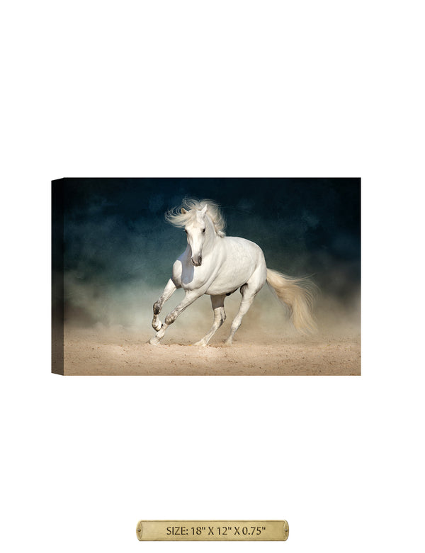 Prancer in the Sand Wild Animal Wall Art. Archival Giclee Print on your choice of Canvas or Paper. Wide Selection of Frames. Rolled or Ready to Hang.