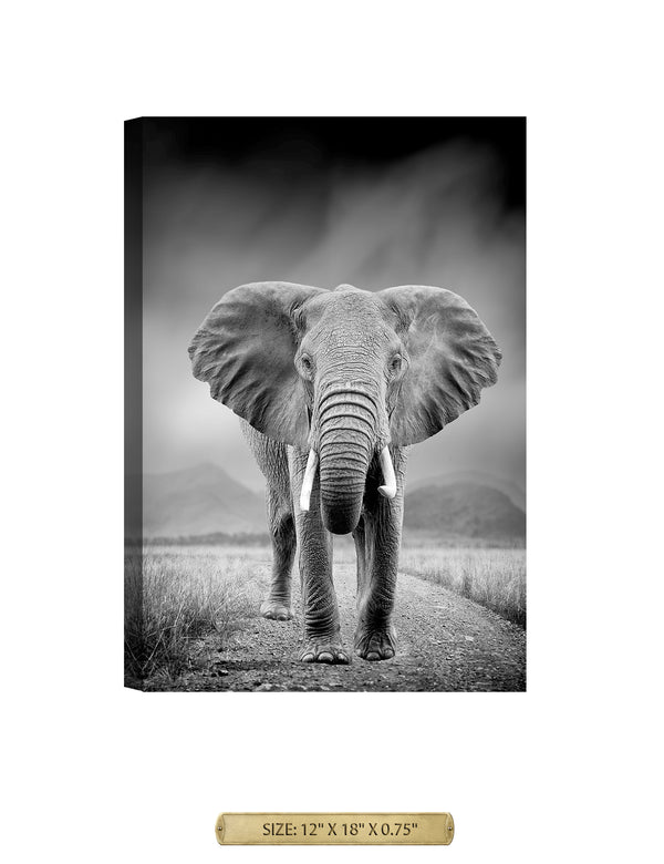 Approaching Elephant Wild Animal Wall Art. Archival Giclee Print on your choice of Canvas or Paper. Wide Selection of Frames. Rolled or Ready to Hang.