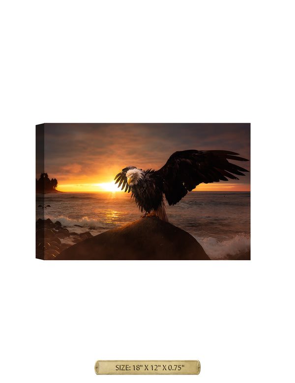 Eagle Landing Wild Animal Wall Art. Archival Giclee Print on your choice of Canvas or Paper. Wide Selection of Frames. Rolled or Ready to Hang.